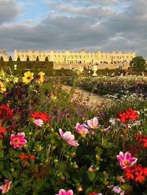 Flowers of Versailles