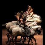Shows of the equestrian Academy of Versailles